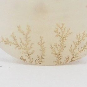 تصویر سنگ شجر کد 2389 