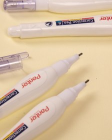 تصویر غلط گیر مایع پنتر 