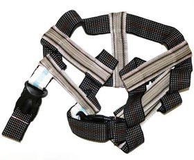 تصویر مانکی بار نردبانی 