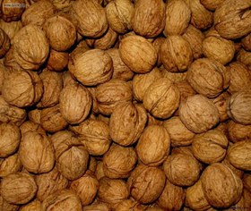 تصویر گردو باپوست {1کیلویی)گیلان Whole Walnuts (1 kg) from Gilan