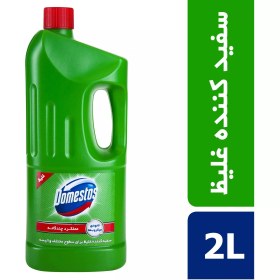 تصویر دامستوس 2 لیتری سبز 