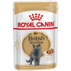 تصویر پوچ گربه رویال کنین مدل British Short Hair وزن ۸۵ گرم Royal Canin British Shorthair Wet Food 85g