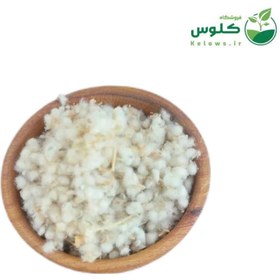 تصویر مریم نخودی 5 کیلویی 