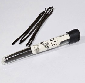 تصویر غلاف وانیل فریدون 