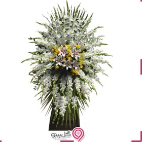 تصویر تاج گل راتا 