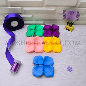 تصویر گلبرگ لمسی 