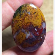 تصویر شجر سایز بزرگ 4 سانتی ارتفاع دار کمیاب 