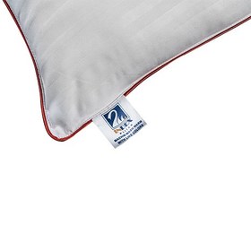 تصویر بالشت آلوئه ورا AloeVera Pillow