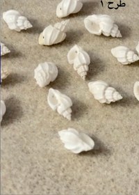 تصویر صدف سنگی - طرح 