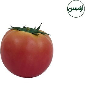 تصویر گوجه فرنگی مصنوعی 