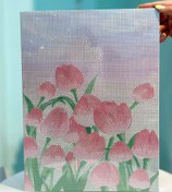 تصویر نقاشی الماسی سایز ۳۰ در ۴۰ فول نگین 