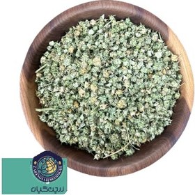 تصویر خارخاسک 