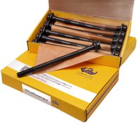 تصویر پیچ سرسیلندر پژو 405 زرین (بسته 10‌تایی) 