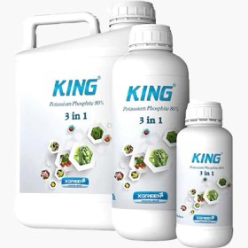 تصویر کود کینگ مایع 1 لیتری ایکس گرین آمریکا (King XGreen) 