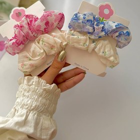 تصویر پک اسکرانچی 