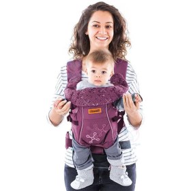 تصویر آغوشی چیپولینو Chipolino Dino 