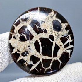 تصویر نگین درشت کلکسیونی سنگ طبیعی سپتارین معدنی کد S3467 