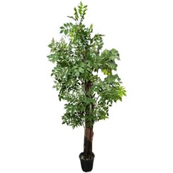 تصویر درخت اقاقیا مصنوعی 