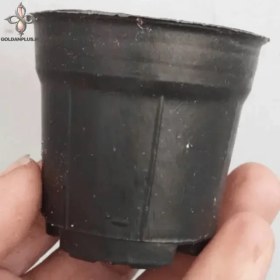 تصویر گلدان سايز 6 