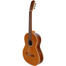 تصویر گیتار پارسی مدل guitar p80 