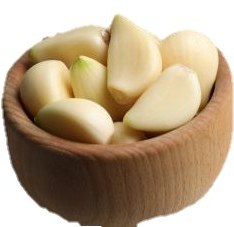 تصویر سیر مرواریدی 