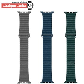 تصویر بند اپل واچ 42/44/45/49 میلی متری گرین لاین مدل Silicone Magnets Green lion Silicone Magnets apple watch 42/44/45/49 mm band