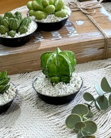 تصویر کاکتوس سرامیکی - 12888 