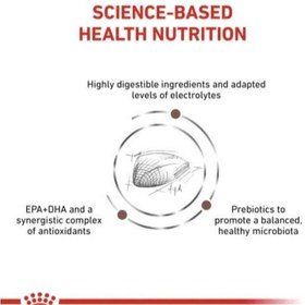 تصویر غذای خشک گربه گاسترواینتستینال رویال کنین (وزن 2KG) GASTROINTESTINAL_ROYAL CANIN 