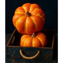 تصویر میوه مصنوعی کدو درجه یک وارداتی (سنگین و باکیفیت) 