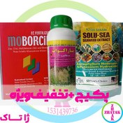 تصویر پکیچ جلبک سولو سی + موبورسین + پاراکوات شیماگرو 