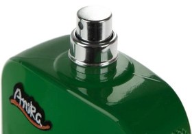 تصویر ادو پرفیوم مردانه آنیکا مدل Vert حجم 100 میلی لیتر 