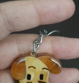 تصویر جاسوئیچی سگ 