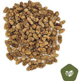 تصویر توت رویال 