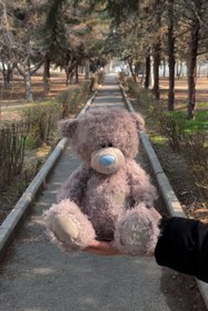 تصویر عروسک خرس me to yoy 