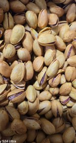 تصویر پسته احمداقایی Pesteh