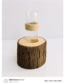 تصویر گلدان تنه درختی 