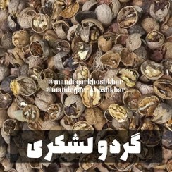 تصویر گردو لشکری (درهم) 