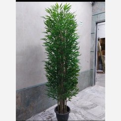 تصویر درختچه مصنوعی بامبو ۷ شاخه ارتفاع ۱۸۰ سانتیمتر 