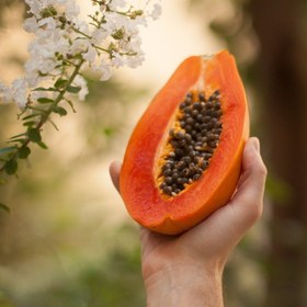 تصویر میوه پاپایا ۱۰ کیلوگرم 