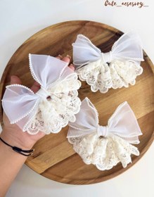 تصویر پاپیون گیره فرانسوی 