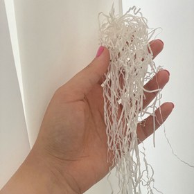 تصویر پوشال 