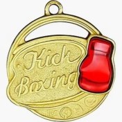 تصویر مدال قهرمانی کیک بوکس 