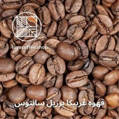 تصویر قهوه عربیکا برزیل سانتوس 