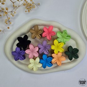 تصویر کلیپس پلومریا سایز کوچک - زرد 