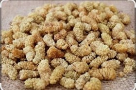 تصویر توت خشک 