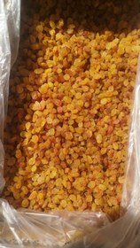 تصویر کشمش سوپرگلدن ملکان 