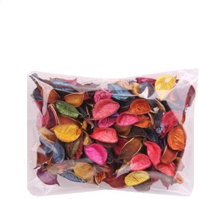 تصویر گل خشک چند رنگ مدل STA242 