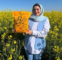 تصویر برنج سرلاشه معطر طارم هاشمی کشت دوم(اقتصادی) 