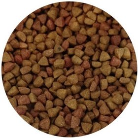 تصویر غذای خشک گربه بالغ فیدار طعم مرغ وزن ۱ کیلوگرم 