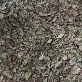 تصویر آویشن شیرازی برگ 